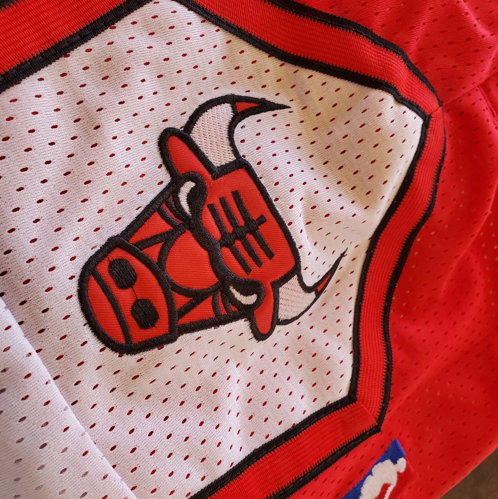 Chicago Bulls - Picture 3 of 7